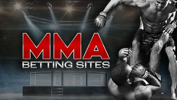 MMA Betting Experience: Understanding Fighter Skills and Personal Strategies