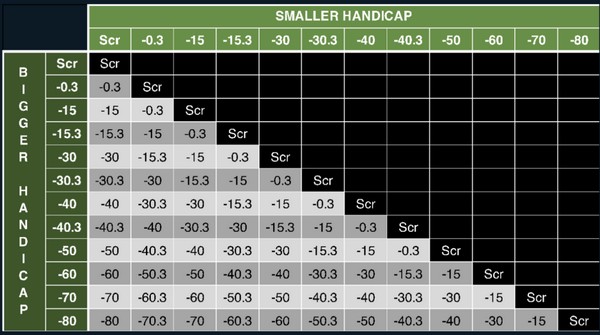 Set Handicap Explained: Adjusting for Competitive Table Tennis Matches